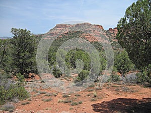 Sedona Red Rocks In Arizona