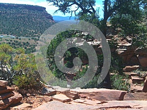 Sedona Red Rocks From Top Of Airport Road