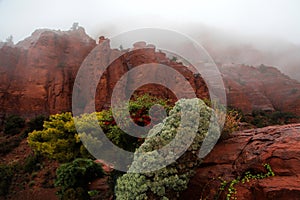 Sedona Red Sandstone Formations