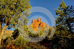 Sedona\'s Bell Rock viewed from the forest