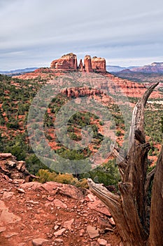 Sedona\'s Cathedral Rock from along the Hiline trail