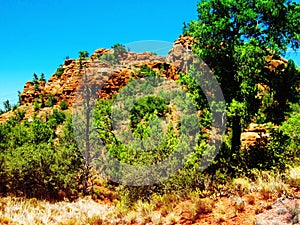 Sedona Wild Landscape with red rocks