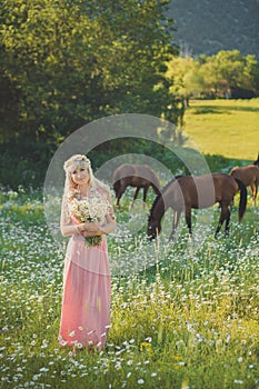 Seductive blond blue eyes lady woman in pinky airy dress on meadow of daisy chamomile holding bouquet of nflowers in hands and pos photo