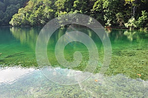 See Through Green Lake