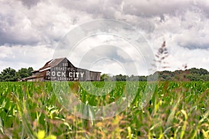 See Rock City barn in a corn field - horizontal