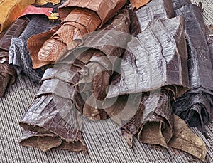 See rolls of crocodile pelts or leather skin, ready to sell.Dyed pieces of f fabric are for sale.