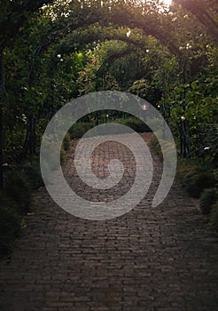 See where the path takes you. Still life shot of a archway in a garden.