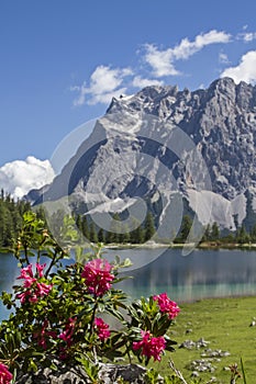 Seebensee photo