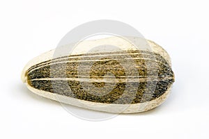 Seed