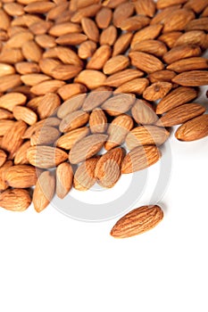 Seed of almonds nuts