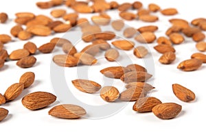 Seed of almonds nuts
