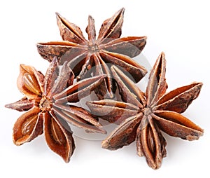 Seed of anise