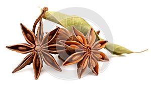 Seed of anise