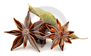 Seed of anise