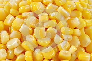 Seed corn