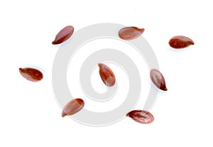 Seed flex isolated on white background
