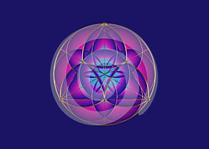 Seed Flower of life lotus icon, yantra mandala sacred geometry, golden symbol of harmony and balance. Purple color Mystical logo