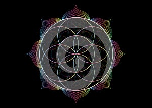 Seed Flower of life lotus icon, yantra mandala sacred geometry, spectrum psychedelic symbol of harmony and balance. Mystical sign