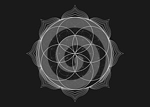 Seed Flower of life lotus icon, yantra mandala sacred geometry, tattoo symbol of harmony and balance. Mystical talisman white line