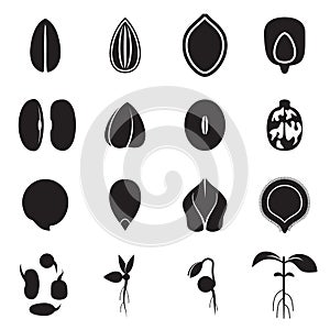 Seed icon set, which represents the most common types of crop seeds