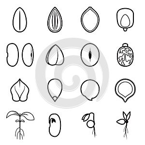 Seed icon set, which represents the most common types of crop seeds photo