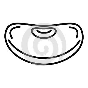Seed kidney bean icon, outline style