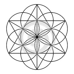 Seed of Life, seven overlapping circles, form the basic shape for a hexagram