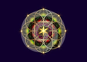 Seed of life symbol Sacred Geometry. Geometric mystic colorful mandala of alchemy esoteric Flower of Life. Gold luxury design logo