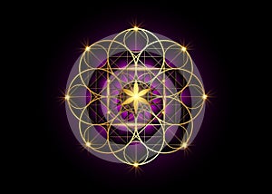 Seed of life symbol Sacred Geometry.  Geometric mystic mandala of alchemy esoteric Flower of Life. Gold luxury design, vector sign