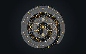 Seed of life symbol Sacred Geometry.  Geometric mystic mandala of alchemy esoteric Flower of Life. Gold luxury design, vector