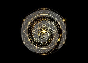 Seed of life symbol Sacred Geometry. Geometric mystic mandala of alchemy esoteric Flower of Life. Gold luxury design, vector