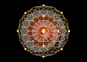 Seed of life symbol Sacred Geometry. Geometric mystic mandala of alchemy esoteric Flower of Life. Gold luxury design, vector sign