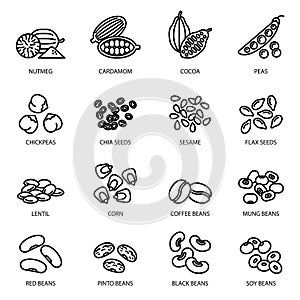 Ořechy fazole a semena linka sada skládající se z ikon jídlo symboly 