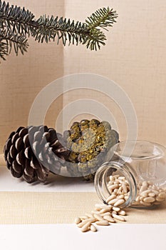 Seed pine nut