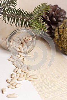 Seed pine nut