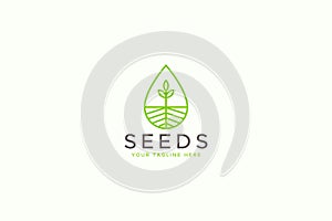 Seed Plant Greenery Nature Agriculture Botanic Logo