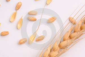 Seed of Wheat grain on white