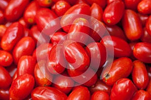 Seeda tomato