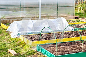 Seedbed on the Household plot.