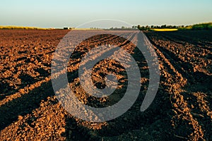 Seedbed preparation, agricultural field soil is ready for sowing season photo