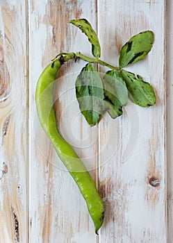 Ecological broad bean.