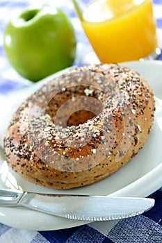 Seeded Bagel