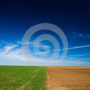 Seeded field and a field lying fallow photo