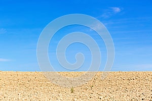 Seeded fields against a blue sky