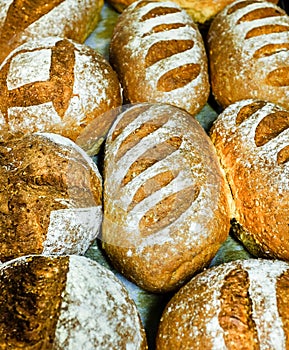 Seeded spelt loaves with honey.