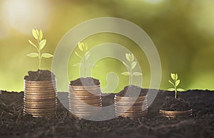 Seeding Plant seed growing on pile of coins money.