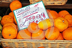 Seedless satsumas for sale.