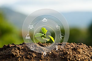 Seedling with bubble of eco icon with green nature background