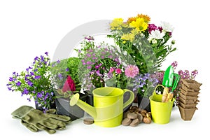Seedling of garden plants and flowers. Garden equipment on white.