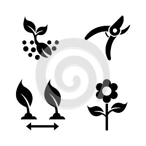 Seedling, Gardening. Simple Related Vector Icons